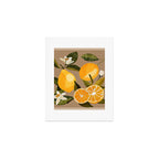 Lemons Botanical Art 2 Art Print Gallery Image 1