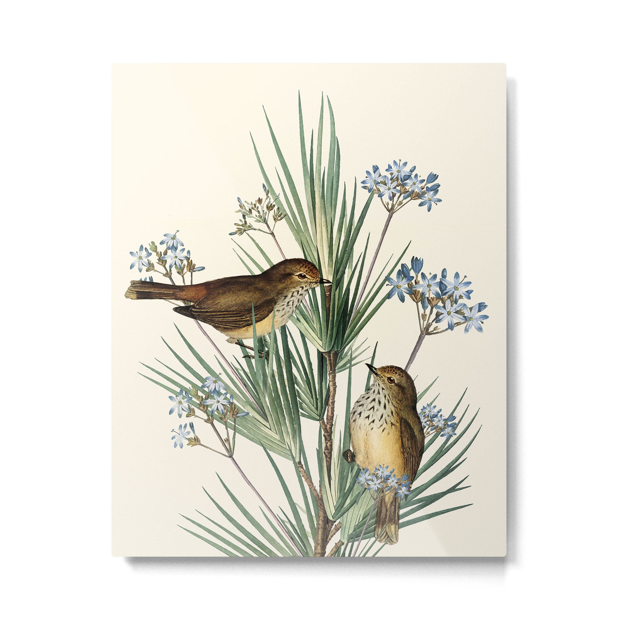 Little Birds and Flowers III Metal Print Gallery Image 4