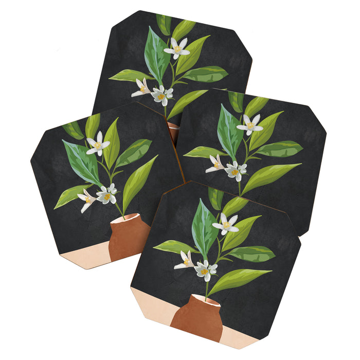Little Pretty Bloom 3 Coaster Gallery Image 1