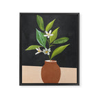 Little Pretty Bloom 3 Framed Canvas Print Gallery Image 6