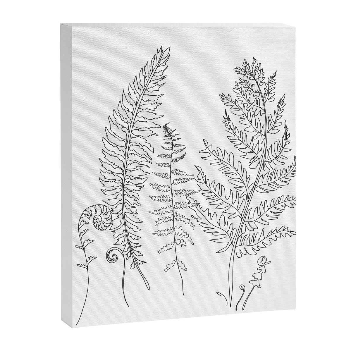 Minimal Line Art Fern Leaves Canvas Print Gallery Image 6