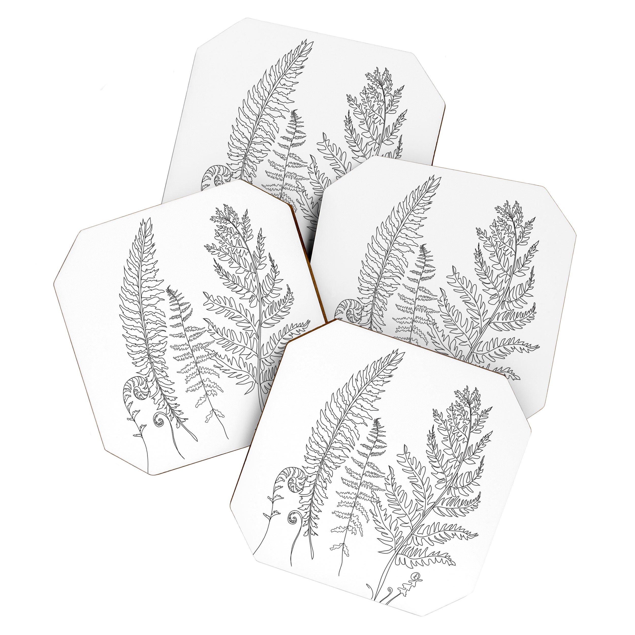 Minimal Line Art Fern Leaves Coaster Gallery Image 1