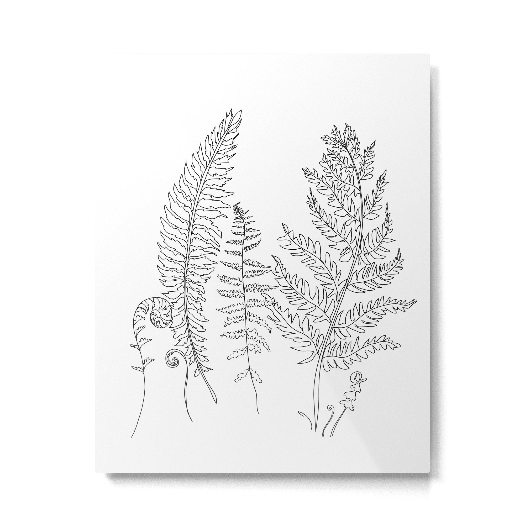 Minimal Line Art Fern Leaves Metal Print Gallery Image 4