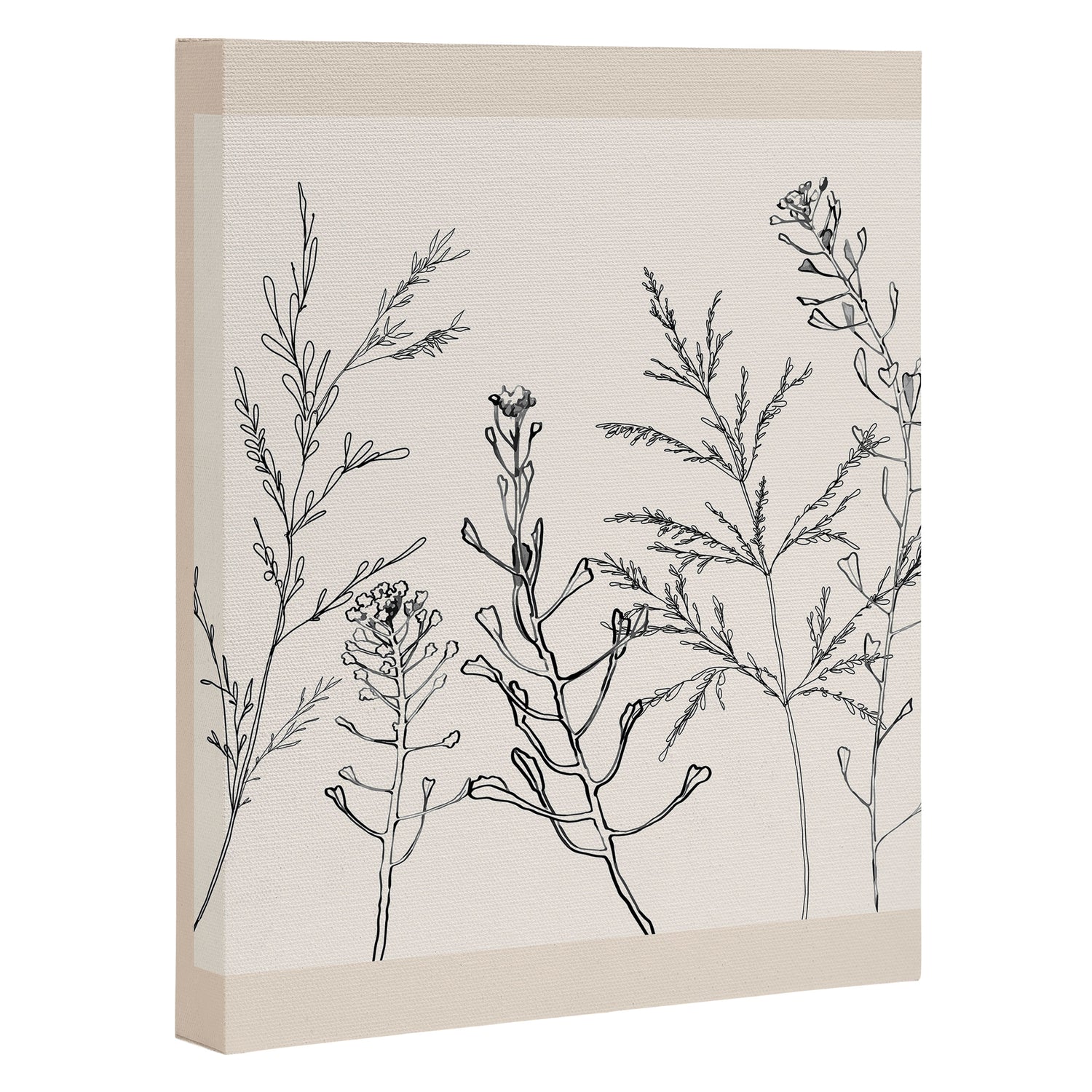 Minimalist Grass 2 Canvas Print Gallery Image 3