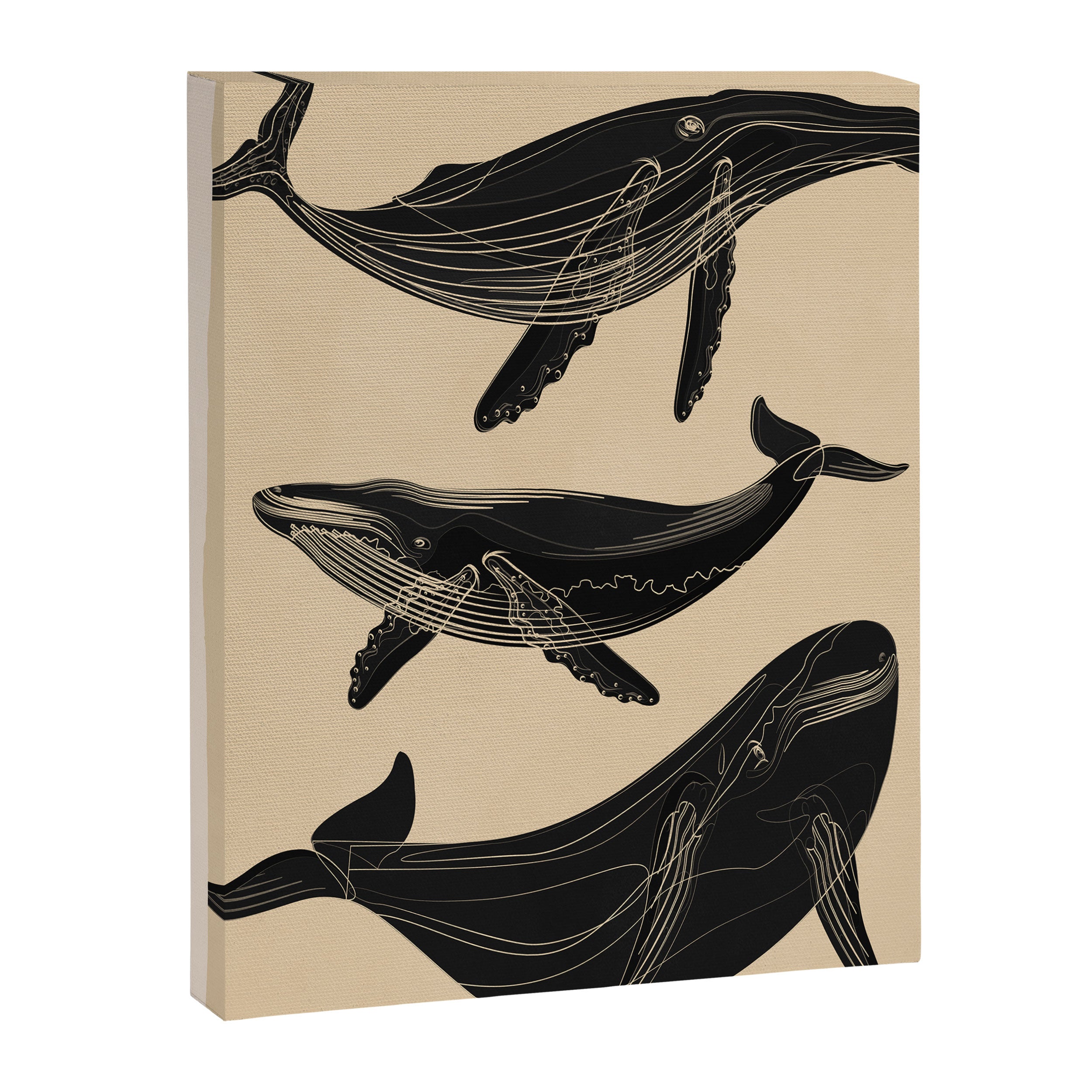 Modern Minimalist Abstract Whales 1 Canvas Print Gallery Image 6