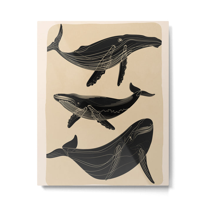 Modern Minimalist Abstract Whales 1 Metal Print Gallery Image 1