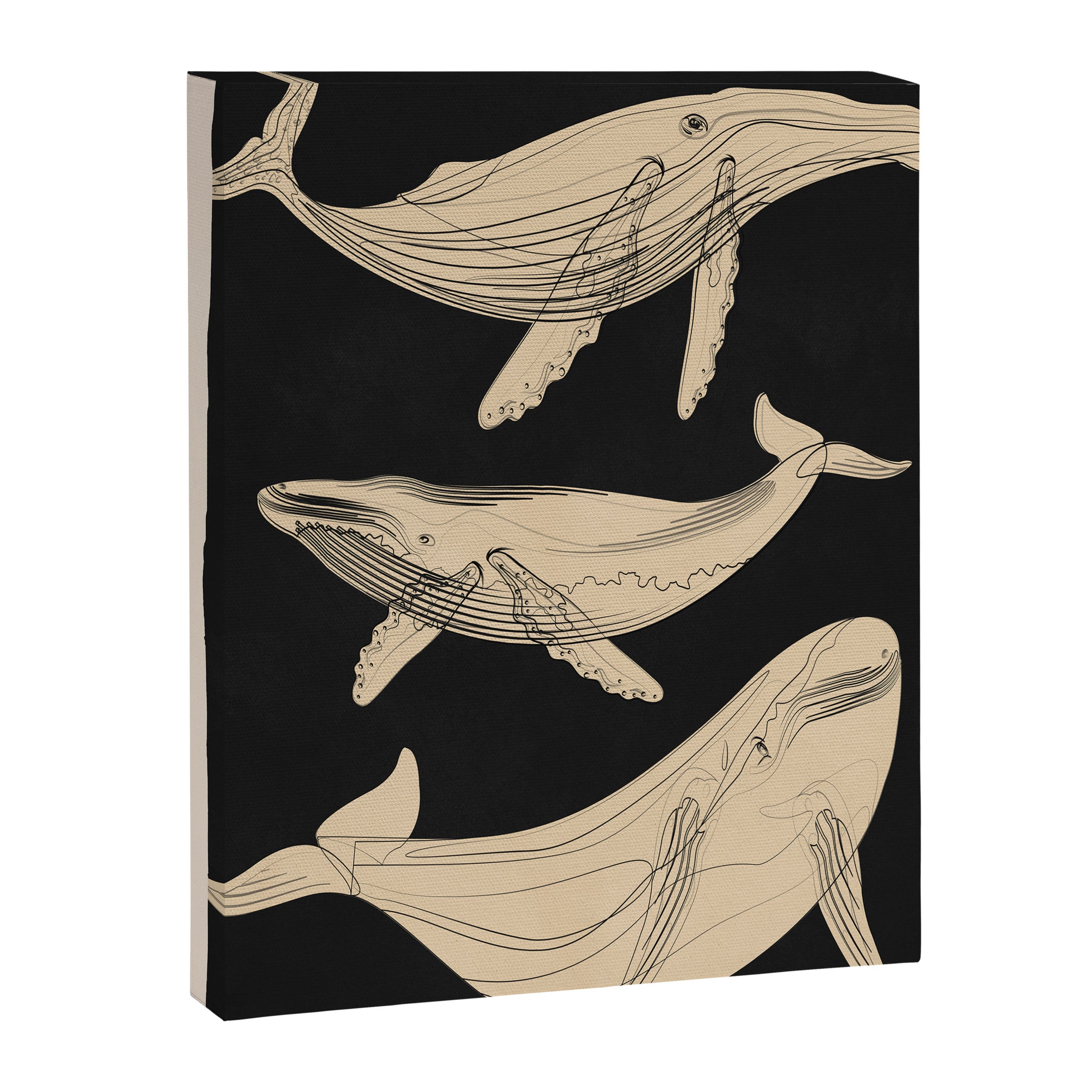 Modern Minimalist Abstract Whales 3 Canvas Print Gallery Image 6