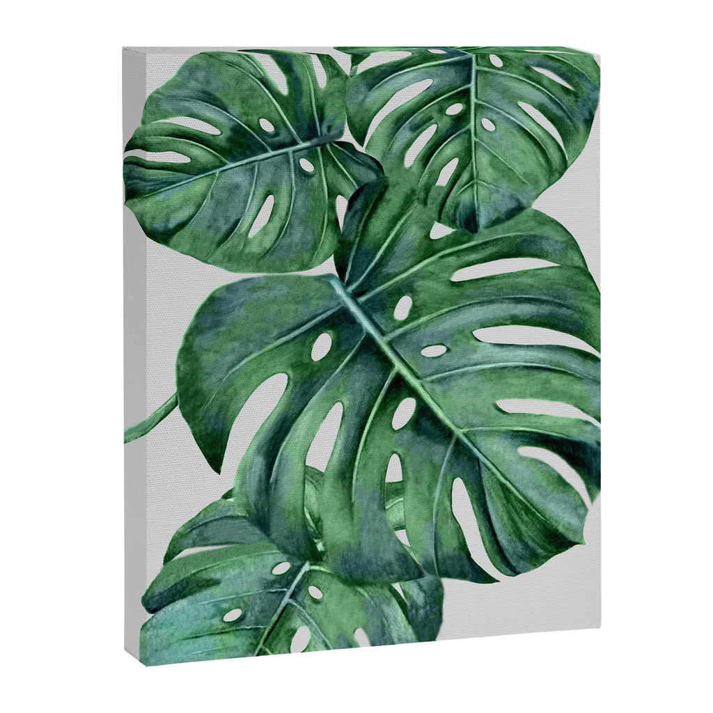Monstera Canvas Print Gallery Image 6