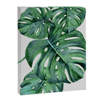 Monstera Canvas Print Gallery Image 6