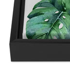 Monstera Framed Canvas Print Gallery Image 3