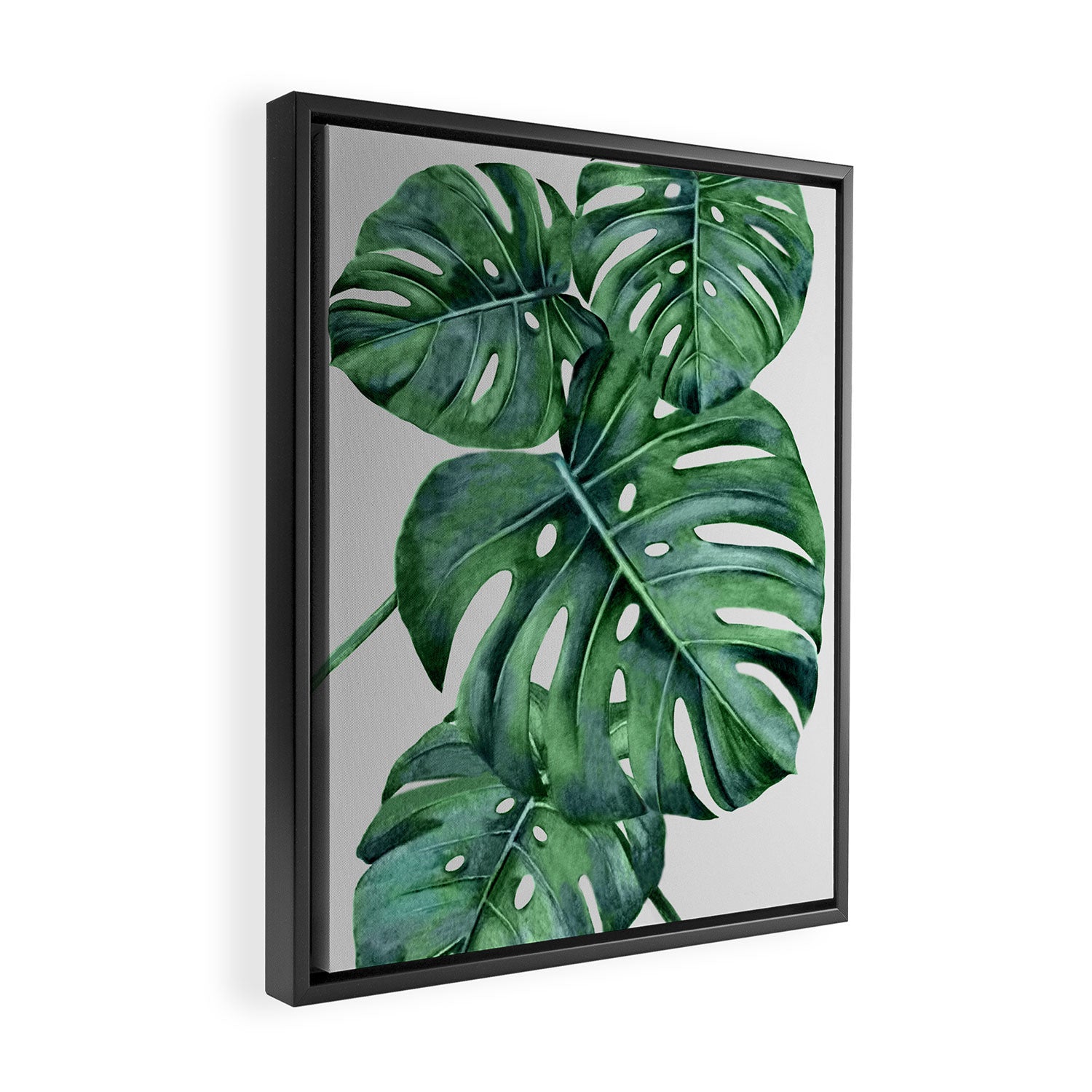 Monstera Framed Canvas Print Gallery Image 2