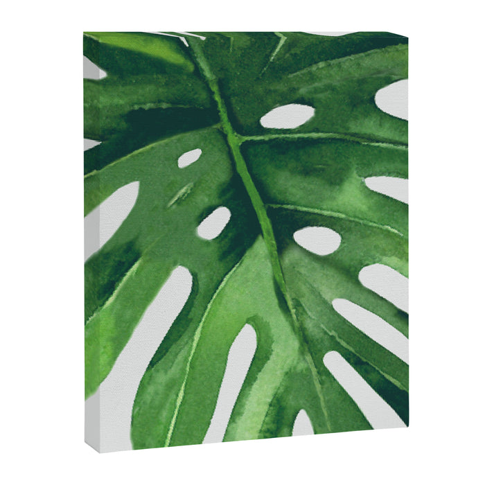 Monstera Leaf Canvas Print Gallery Image 1