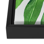 Monstera Leaf Framed Canvas Print Gallery Image 3