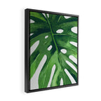 Monstera Leaf Framed Canvas Print Gallery Image 2