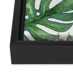 Monstera Leaves Framed Canvas Print Gallery Image 3