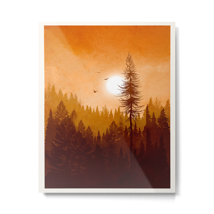 Morning Mountain Mist 1 Metal Print Gallery Image 1