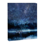 Night Sky Canvas Print Gallery Image 6