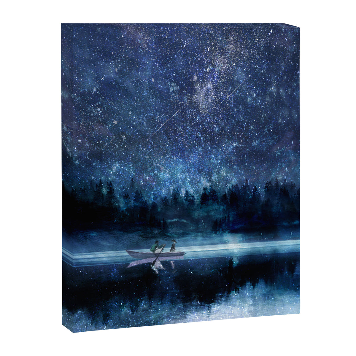 Night Sky Canvas Print Gallery Image 6