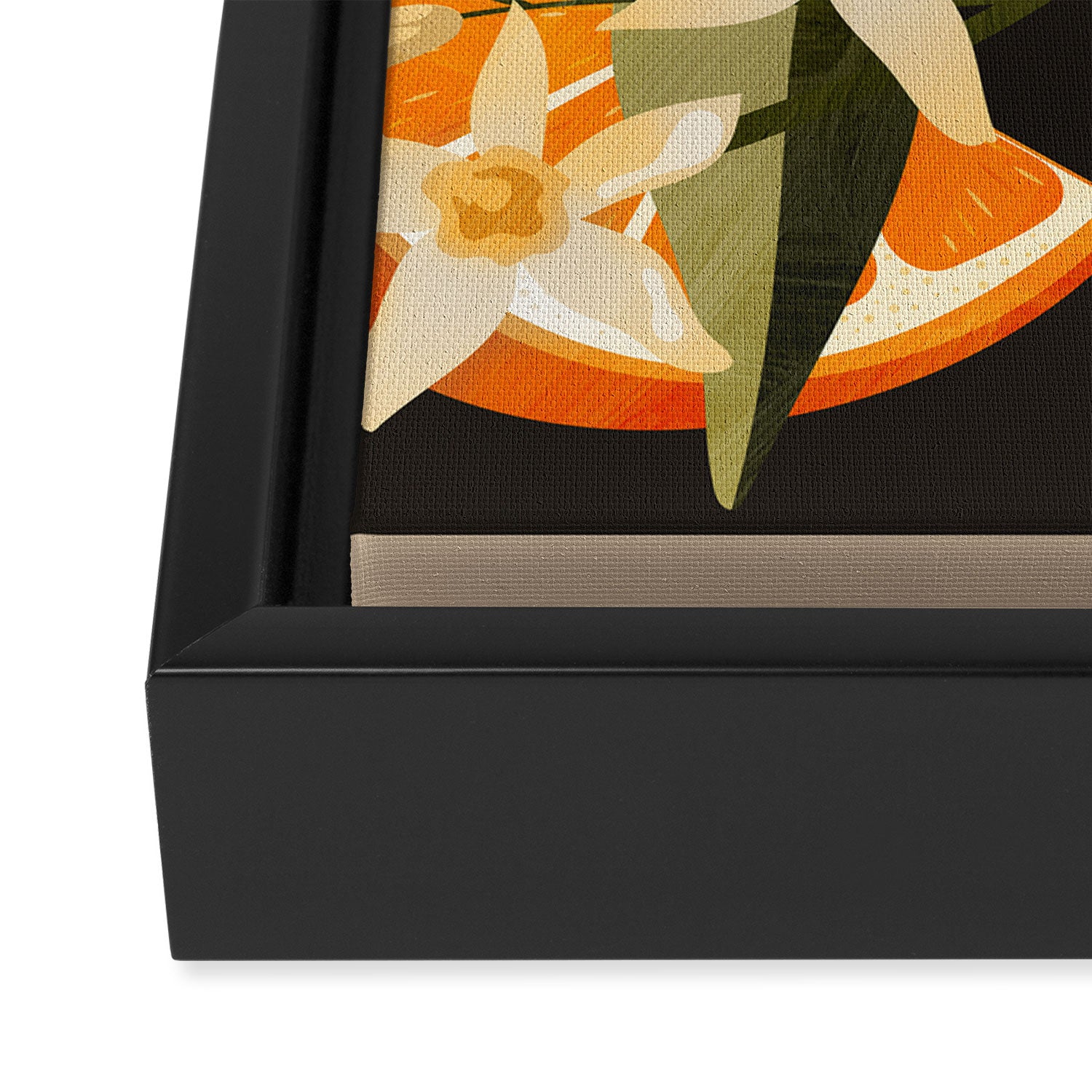 Oranges Botanical Art 1 Framed Canvas Print Gallery Image 3