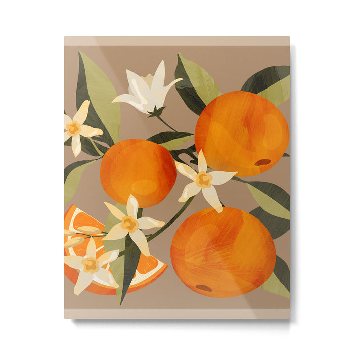 Oranges Botanical Art 2 Metal Print Gallery Image 1