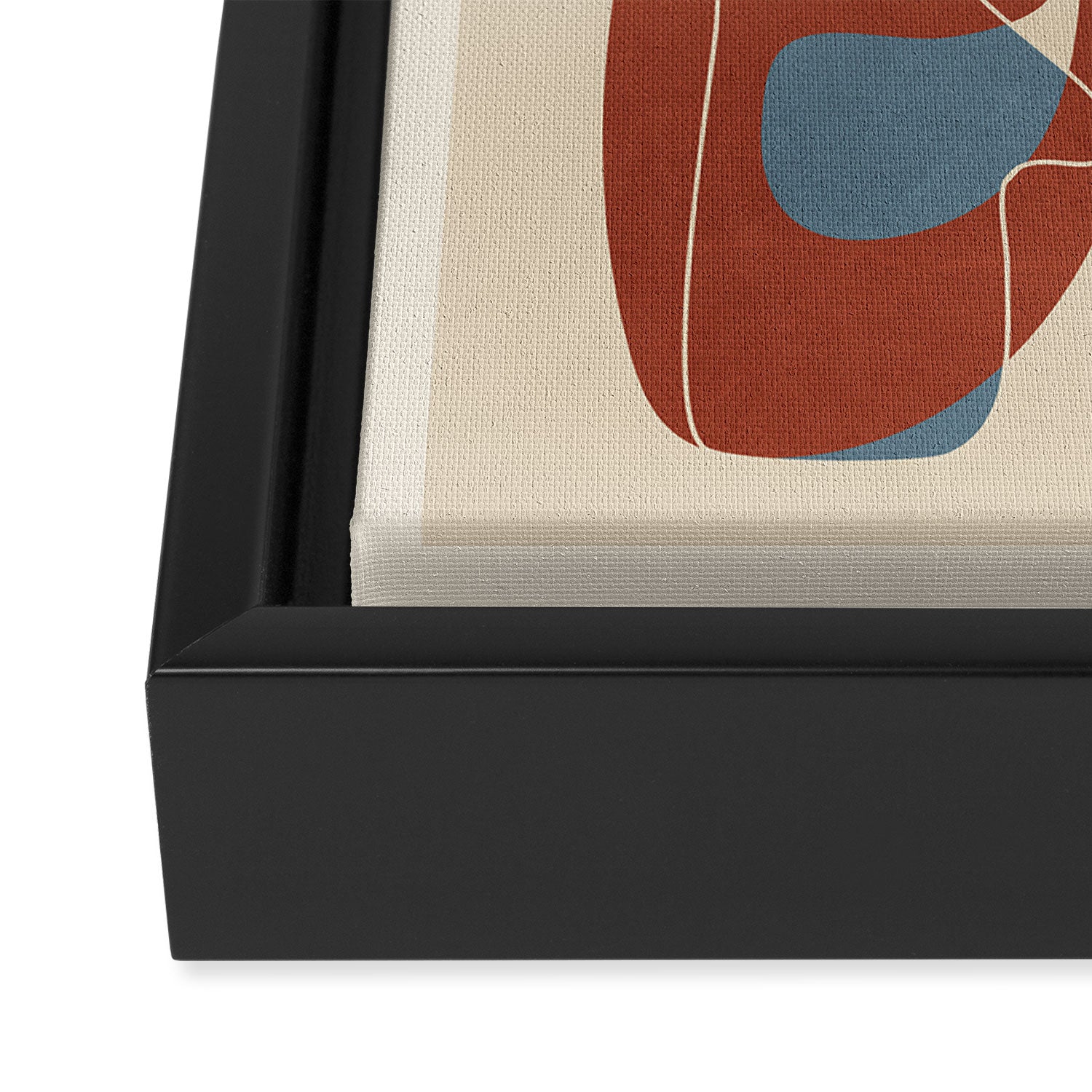Organic Rhythms 5 Framed Canvas Print Gallery Image 3