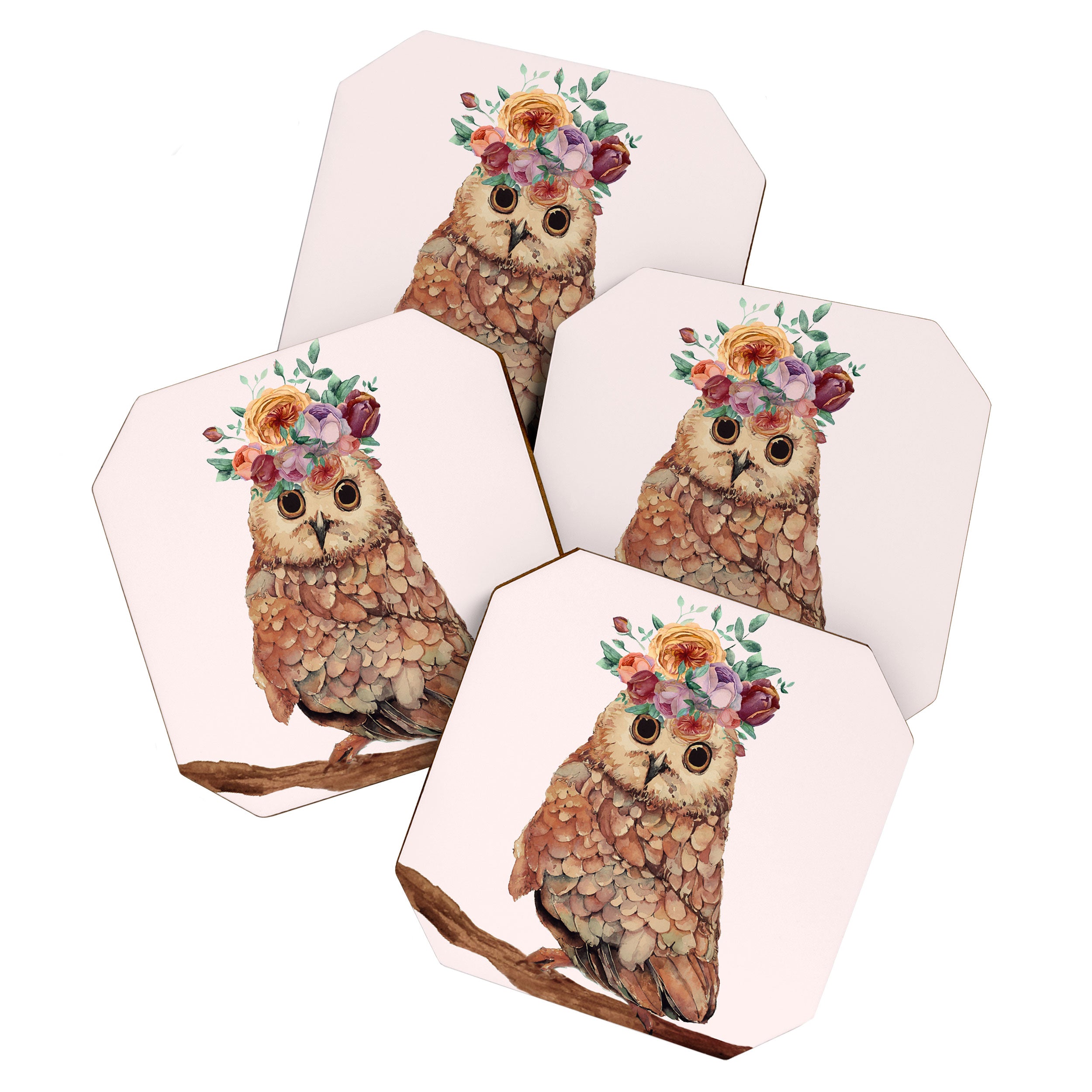 Owl with Flowers Coaster Gallery Image 1