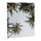 Palm Canopy - Minimal Tropical Wall Art Canvas Print Gallery Image 6