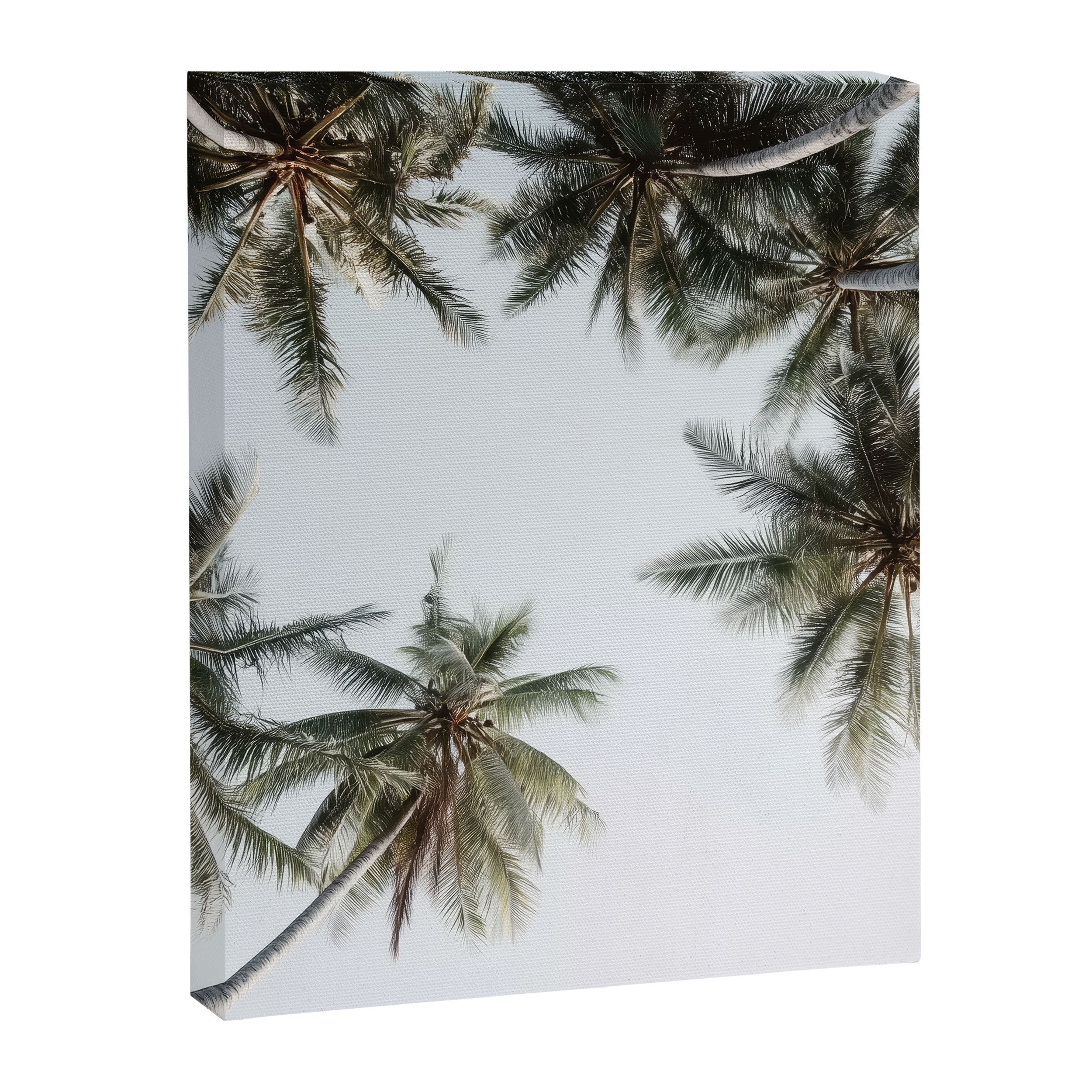 Palm Canopy - Minimal Tropical Wall Art Canvas Print Gallery Image 6