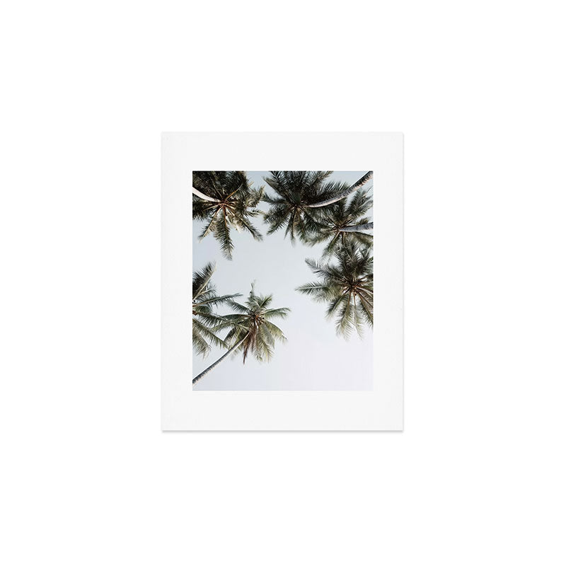 Palm Canopy - Minimal Tropical Wall Art Art Print Gallery Image 1