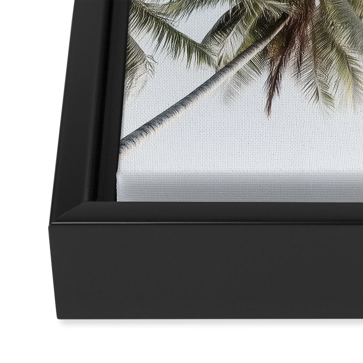 Palm Canopy - Minimal Tropical Wall Art Framed Canvas Print Gallery Image 3