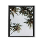 Palm Canopy - Minimal Tropical Wall Art Framed Canvas Print Gallery Image 6