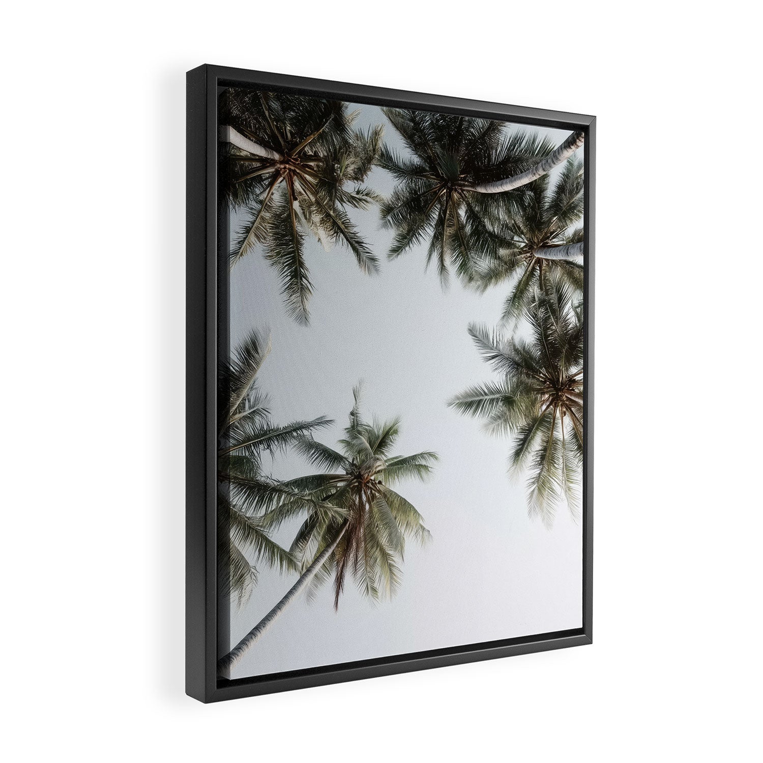 Palm Canopy - Minimal Tropical Wall Art Framed Canvas Print Gallery Image 2