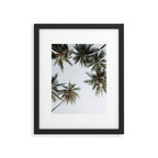 Palm Canopy - Minimal Tropical Wall Art Framed Art Print Gallery Image 5