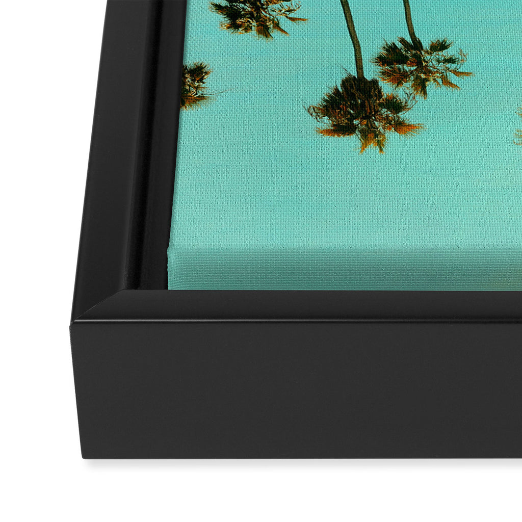 Palm Reflections Framed Canvas Print Gallery Image 3