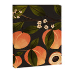 Peaches Botanical Art 1 Canvas Print Gallery Image 8