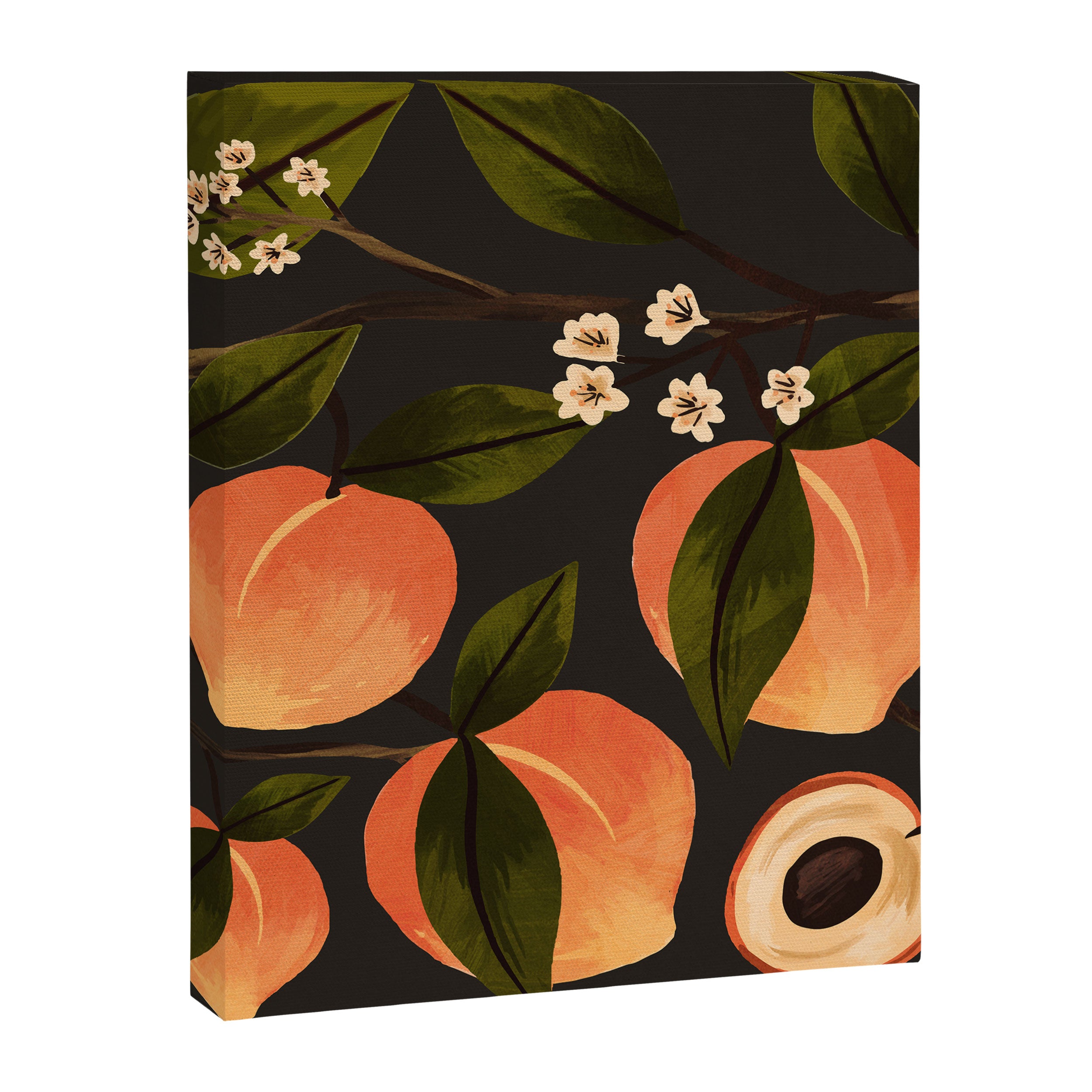 Peaches Botanical Art 1 Canvas Print Gallery Image 8