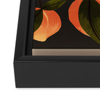 Peaches Botanical Art 1 Framed Canvas Print Gallery Image 3
