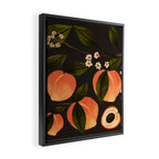 Peaches Botanical Art 1 Framed Canvas Print Gallery Image 2