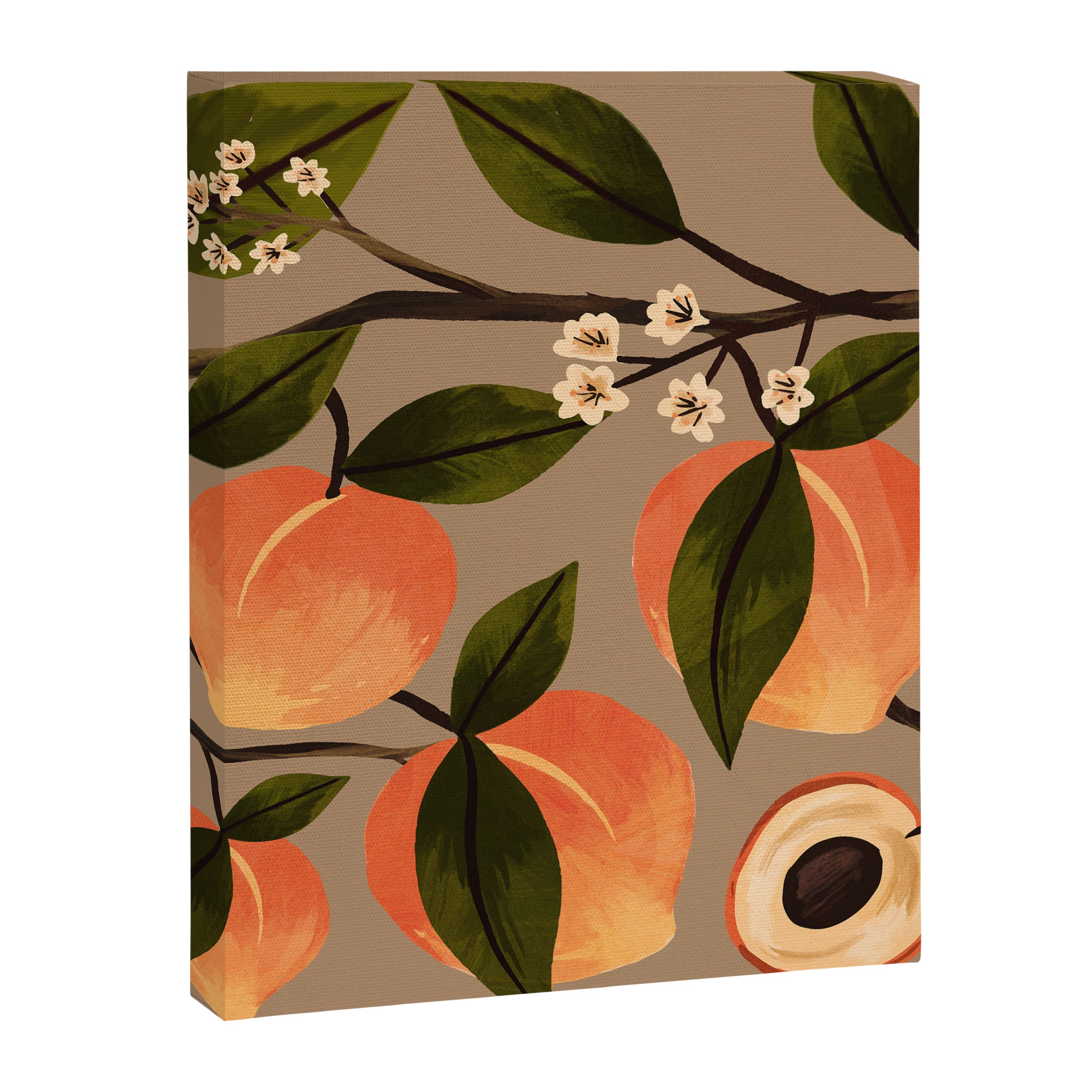 Peaches Botanical Art 2 Canvas Print Gallery Image 8