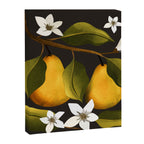 Pears Botanical Art 1 Canvas Print Gallery Image 8