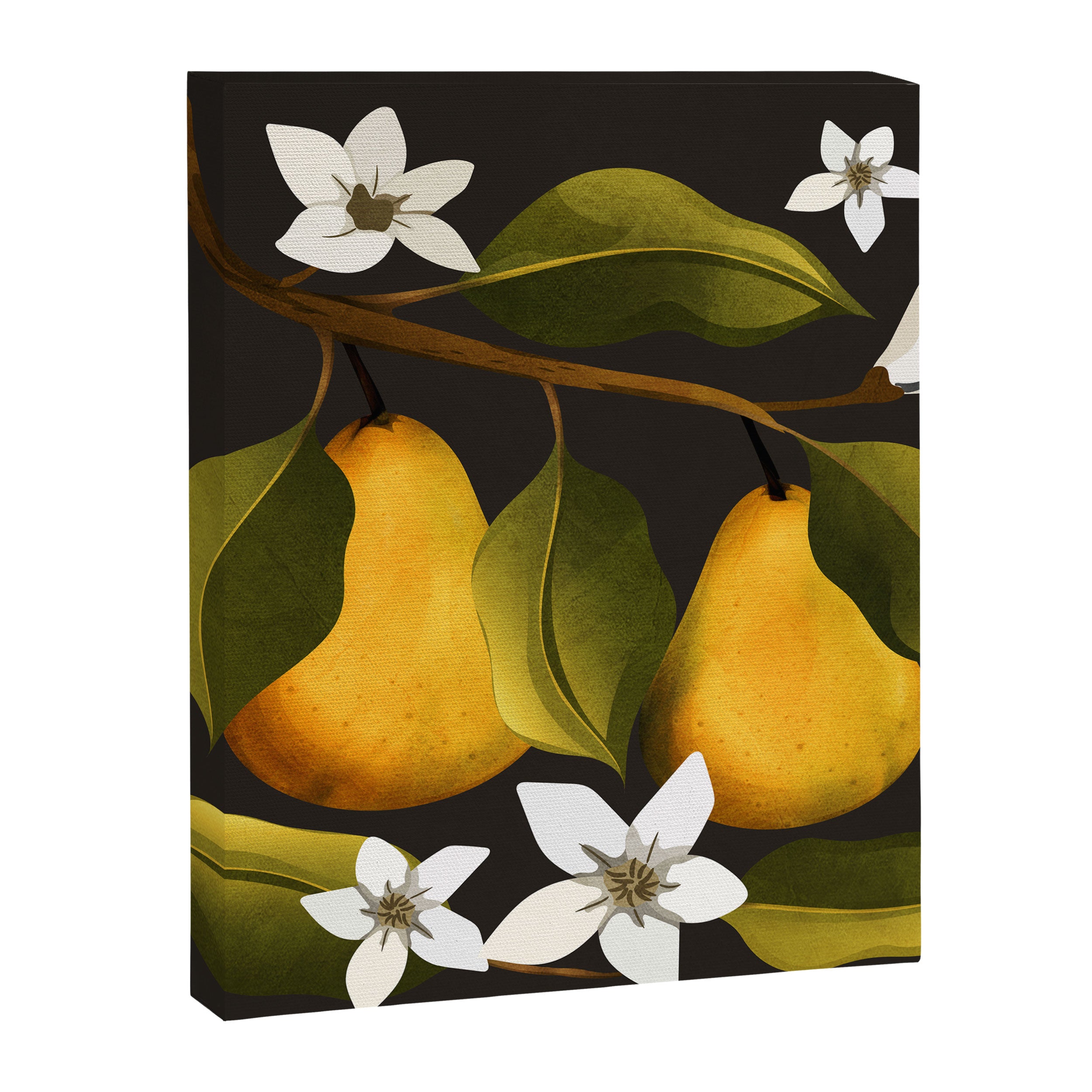 Pears Botanical Art 1 Canvas Print Gallery Image 8
