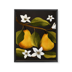 Pears Botanical Art 1 Framed Canvas Print Gallery Image 8