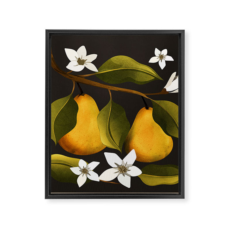 Pears Botanical Art 1 Framed Canvas Print Gallery Image 8