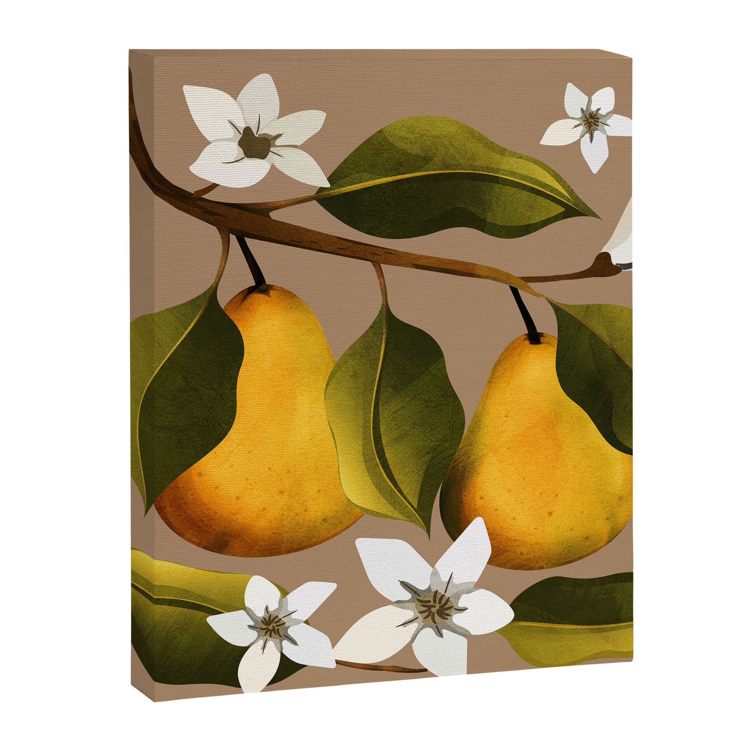 Pears Botanical Art 2 Canvas Print Gallery Image 8