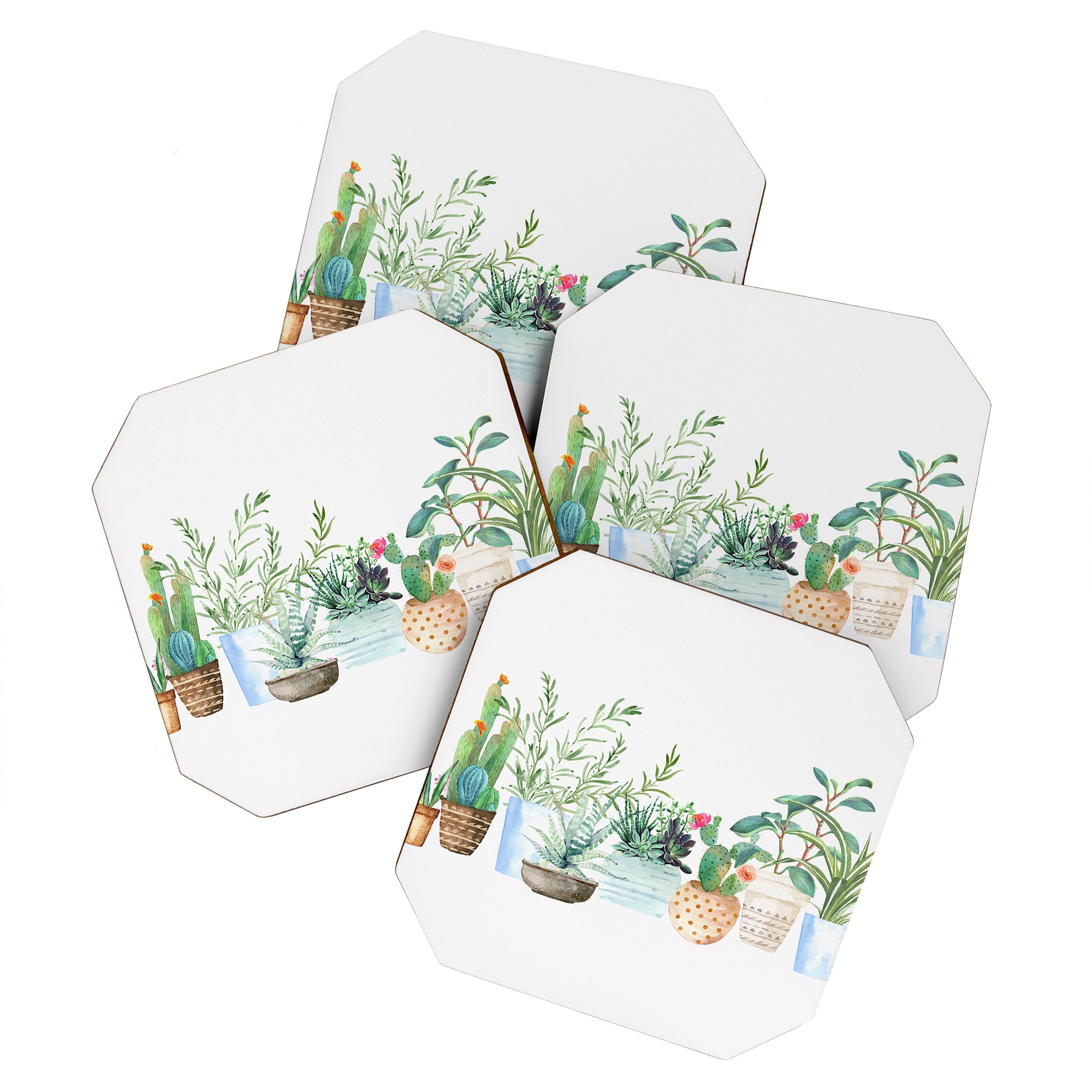 Plants Coaster Gallery Image 1