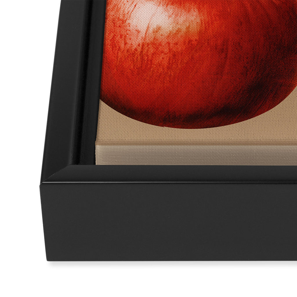 Pomegranate Botanical Art 1 Framed Canvas Print Gallery Image 3