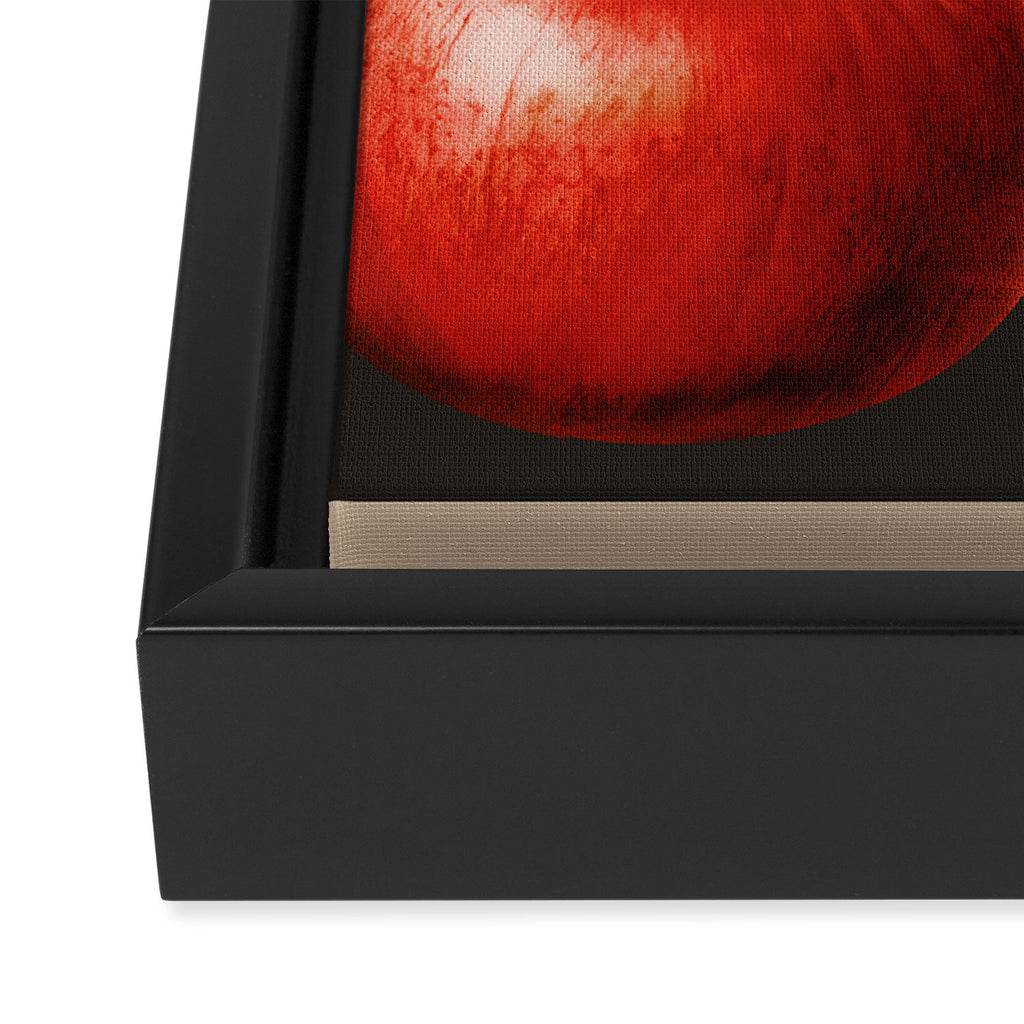 Pomegranate Botanical Art 2 Framed Canvas Print Gallery Image 3