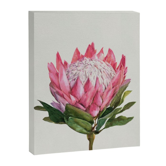 Protea Canvas Print Gallery Image 1