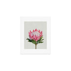 Protea Art Print Gallery Image 1