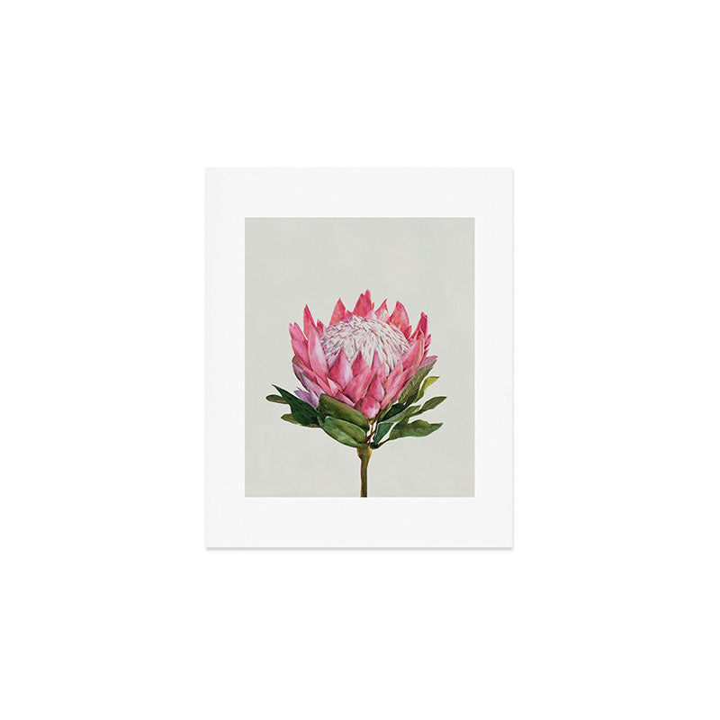 Protea Art Print Gallery Image 1
